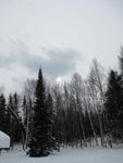 IMG_2095.jpg