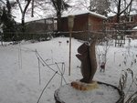 IMG_2098.jpg