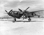 00 80th FS CO Ed Cragg P-38G 3 Mile Airstrip Port Moresby.jpg