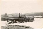 Tysk fly 3.jpg
