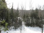 IMG_2110.jpg