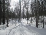 IMG_2119.jpg