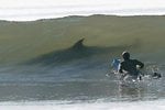 big_shark_in_wave_138.jpg