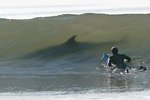 big_shark_in_wave_138.jpg