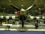 hawker_typhoon_front_421.jpg