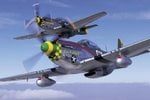 p51dmustang_182.jpg