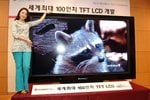 lcd1_794.jpg