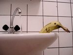 banana_art11_145.jpg