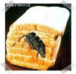 mousebread_744.jpg