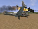 grab0000tga_167.jpg