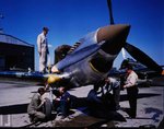 p-40 life 4b.jpg