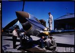 p-40 life 4.jpg