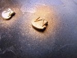 102_2826.JPG