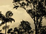 IMG_1280.JPG