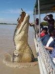 Brutus-le-crocodile-de-mer-vous-dit-bonjour-Adelaide-River-Australie-Katrina-Bridgeford.jpg