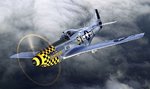 p-51-mustangK.jpg