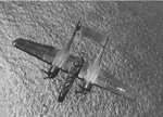 P-61A1.jpg