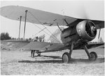 21536.jpg
