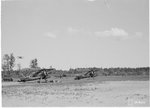 21567.jpg