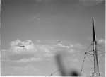31666.jpg