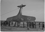 87738.jpg