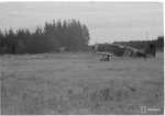 106594.jpg