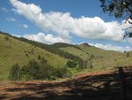 IMG_1445.JPG