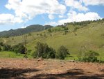 IMG_1446.JPG