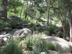 IMG_1451.JPG