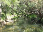 IMG_1458.JPG