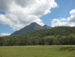 IMG_1463.JPG