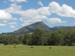IMG_1465.JPG