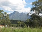IMG_1471.JPG