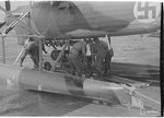 102567.jpg