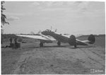 155463.jpg