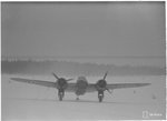 5942.jpg