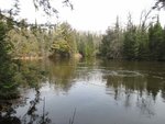 IMG_2196.jpg