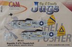 CAM_P-47N Decals_3346.jpg