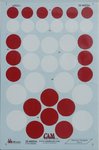 CAM Japanese Decals_3349.jpg