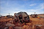 Argentinian Hueys on Stanley racecourse by Hector Patrick, via Flickr.jpg