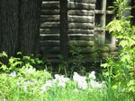 IMG_2234.jpg