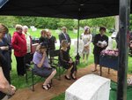 IMG_2247.jpg