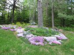 IMG_2254.jpg