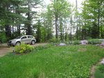 IMG_2255.jpg