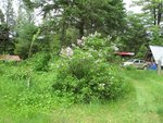 IMG_2263.jpg