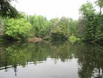 IMG_2271.jpg