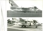 7b_1_b_530.jpg