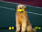 tennis_140.jpg