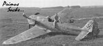 zsigfw-190 A8 Green 5.JPG