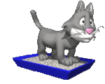 cat_kicking_litterbox_lg_clr.gif
